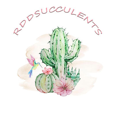 RDDsucculents